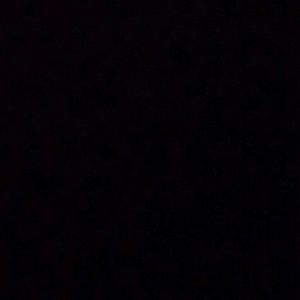 Meet your Posher, Rico