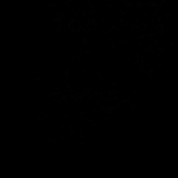 Meet your Posher, Kim - Picture 1 of 1