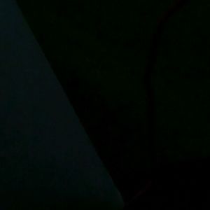 Meet your Posher, Terrell