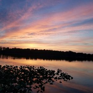 Meet your Posher, Aryn