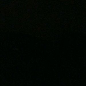 Meet your Posher, Mariam