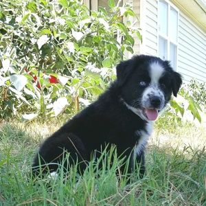 Meet your Posher, Janet