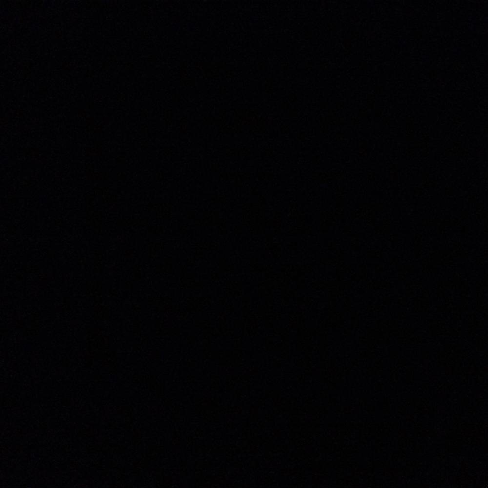 Meet your Posher, Rose