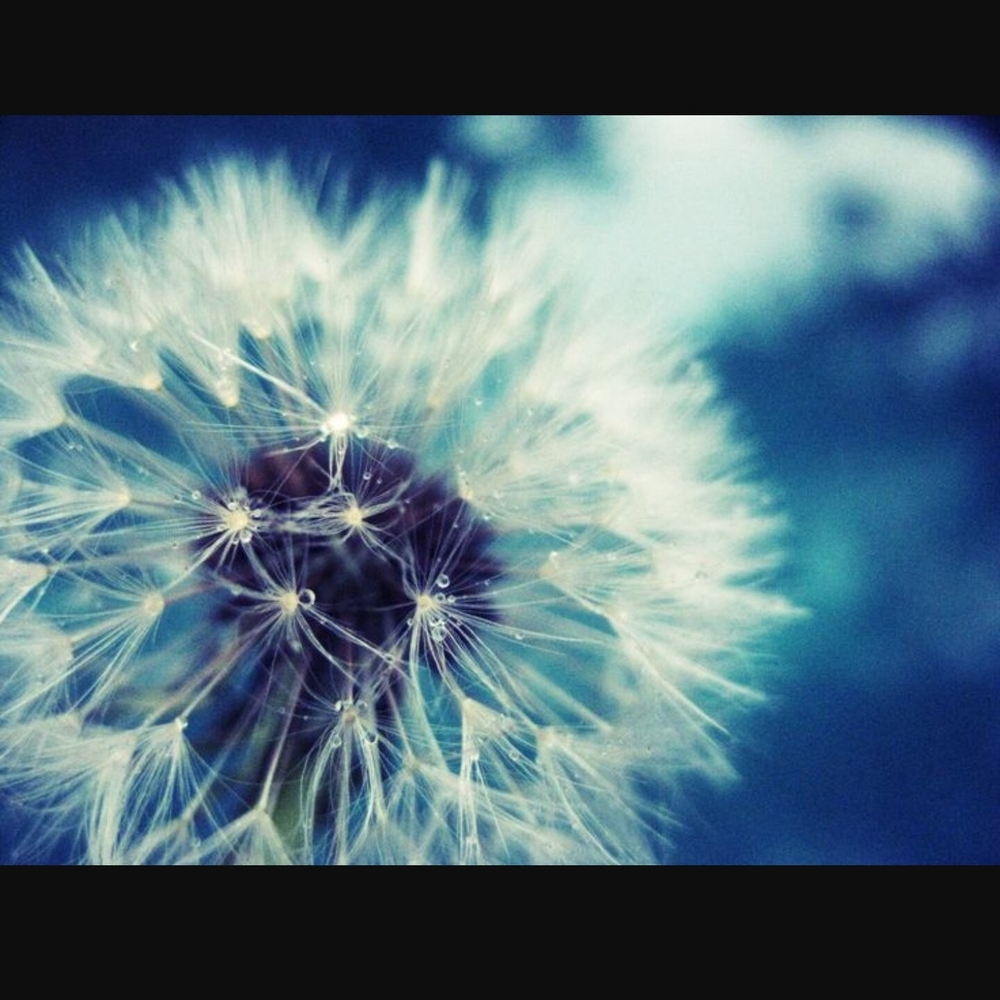 Meet your Posher, Gisselle