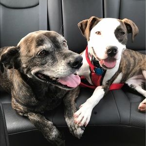 Meet your Posher, Aaron