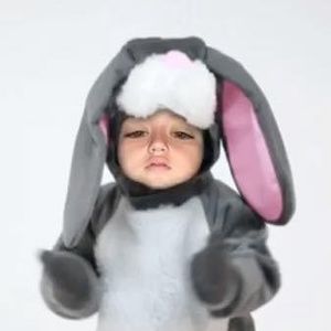 Meet your Posher, Panda