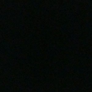 Meet your Posher, Ronnie