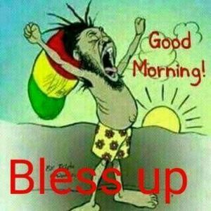 Meet your Posher, Dee