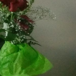 Meet your Posher, Monique