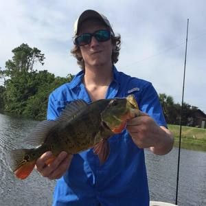 Meet your Posher, Randy