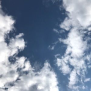 Meet your Posher, Magan