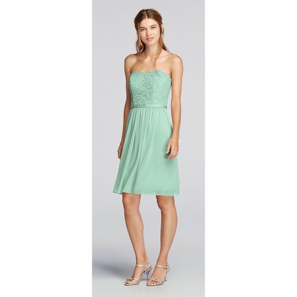 Short Scalloped Strapless Lace Mesh Dress