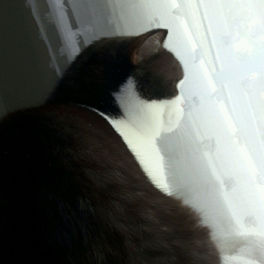 Meet your Posher, Karen