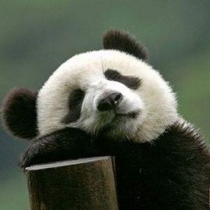 Meet your Posher, Kirill