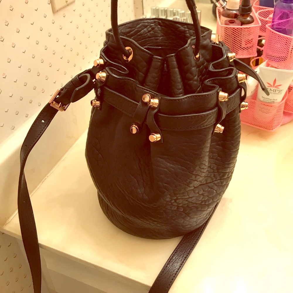 Alexander Wang Small Diego bag!