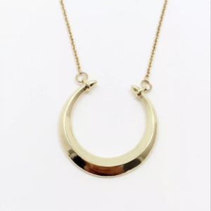Double Horn Pendant Necklace