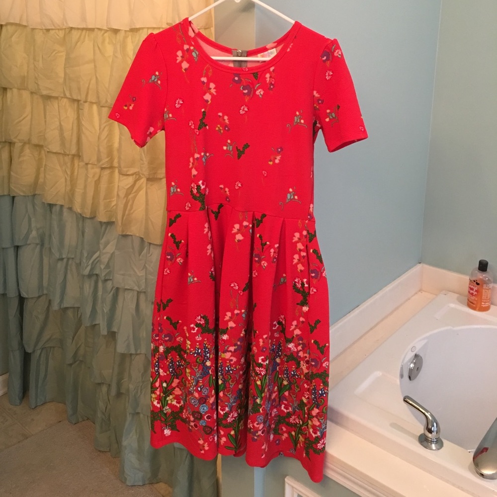 LuLaRoe Amelia dress size medium • red floral