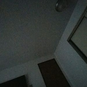 Meet your Posher, Teddy