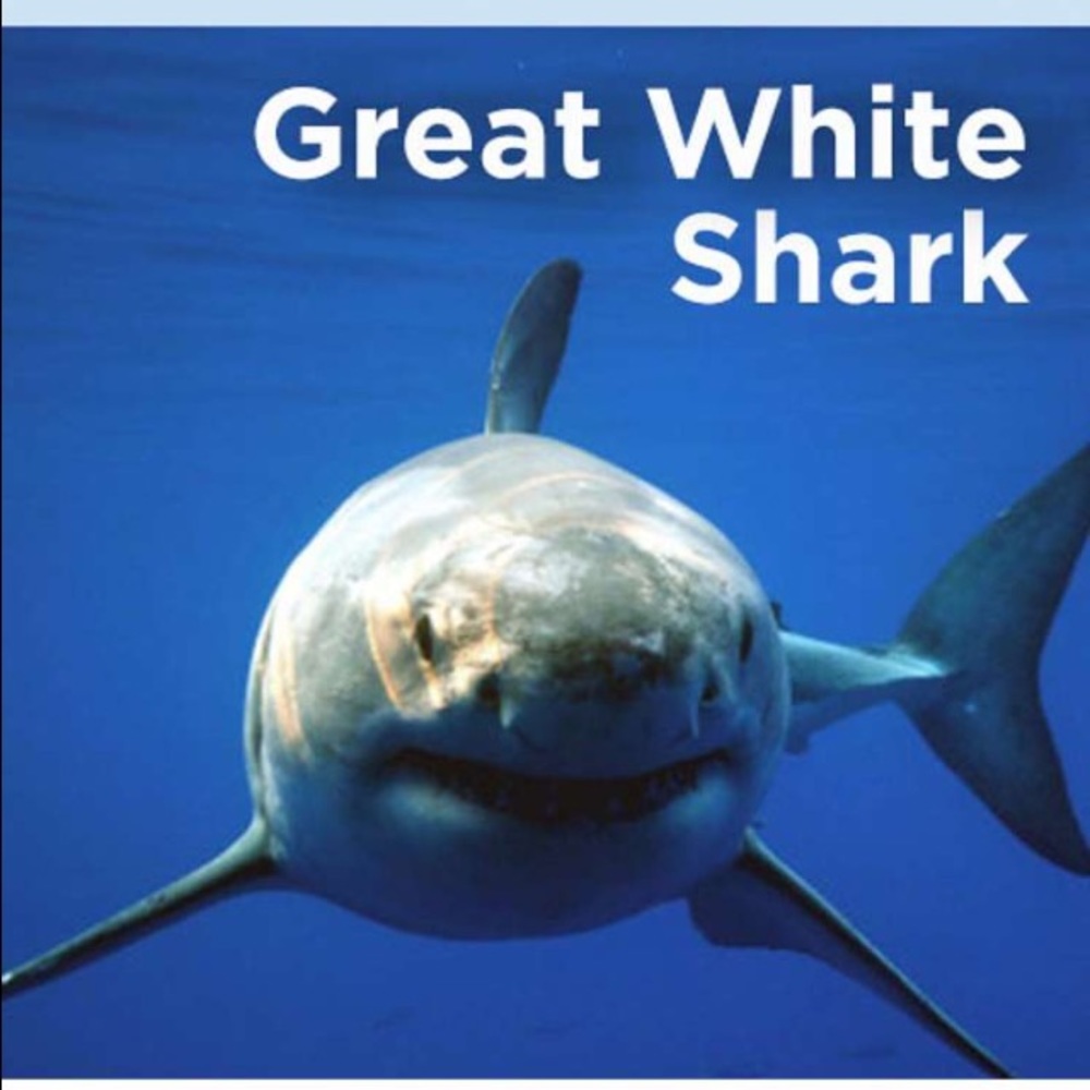 Meet your Posher, Cy