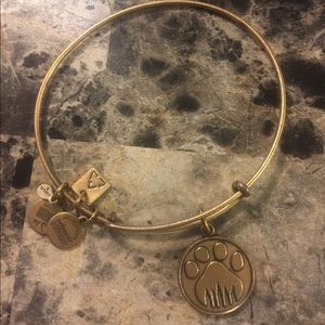 Alex and ani bracelet