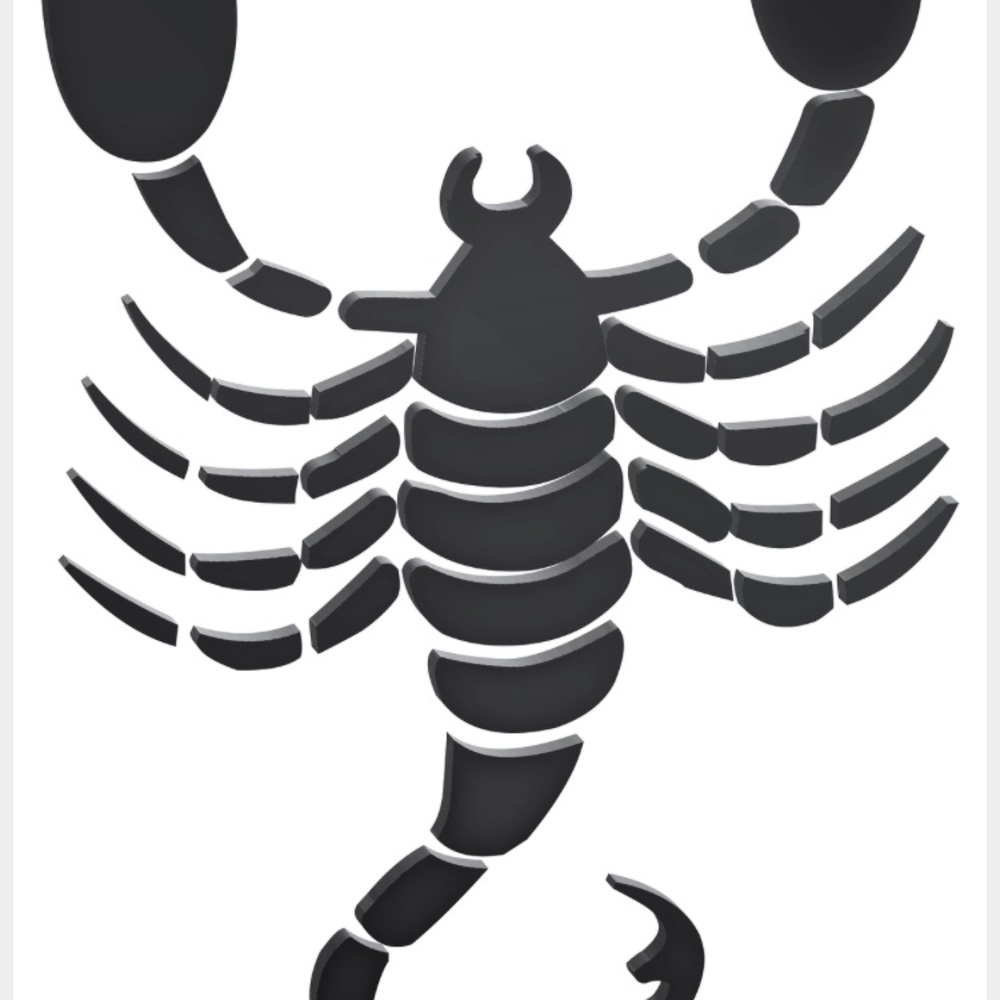 Meet your Posher, Raquel