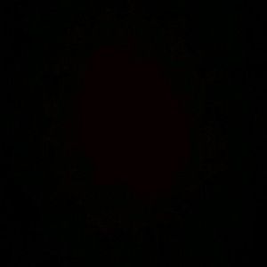 Meet your Posher, Guille