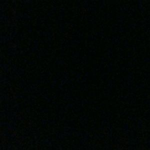 Meet your Posher, Tracye