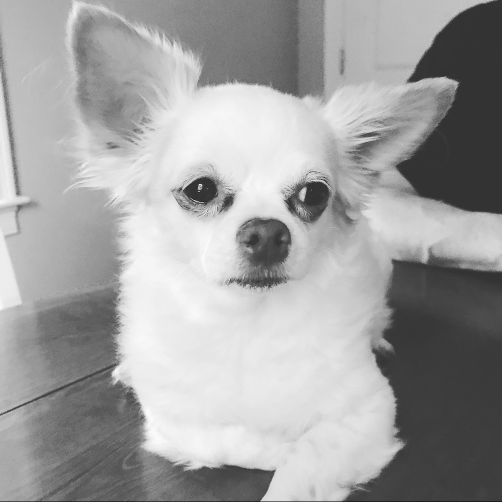 Meet your Posher, Catherine