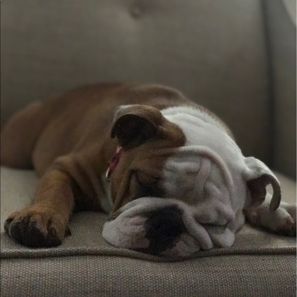 Meet your Posher, Ray - Picture 1 of 1