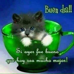 Meet your Posher, Ricardo