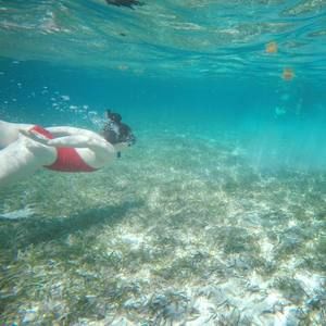 Meet your Posher, Madi