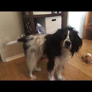 Meet your Posher, Melissa