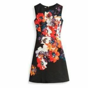 Maggy London Henrietta dress