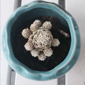 Meet your Posher, Nayeli