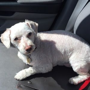 Meet your Posher, Eric