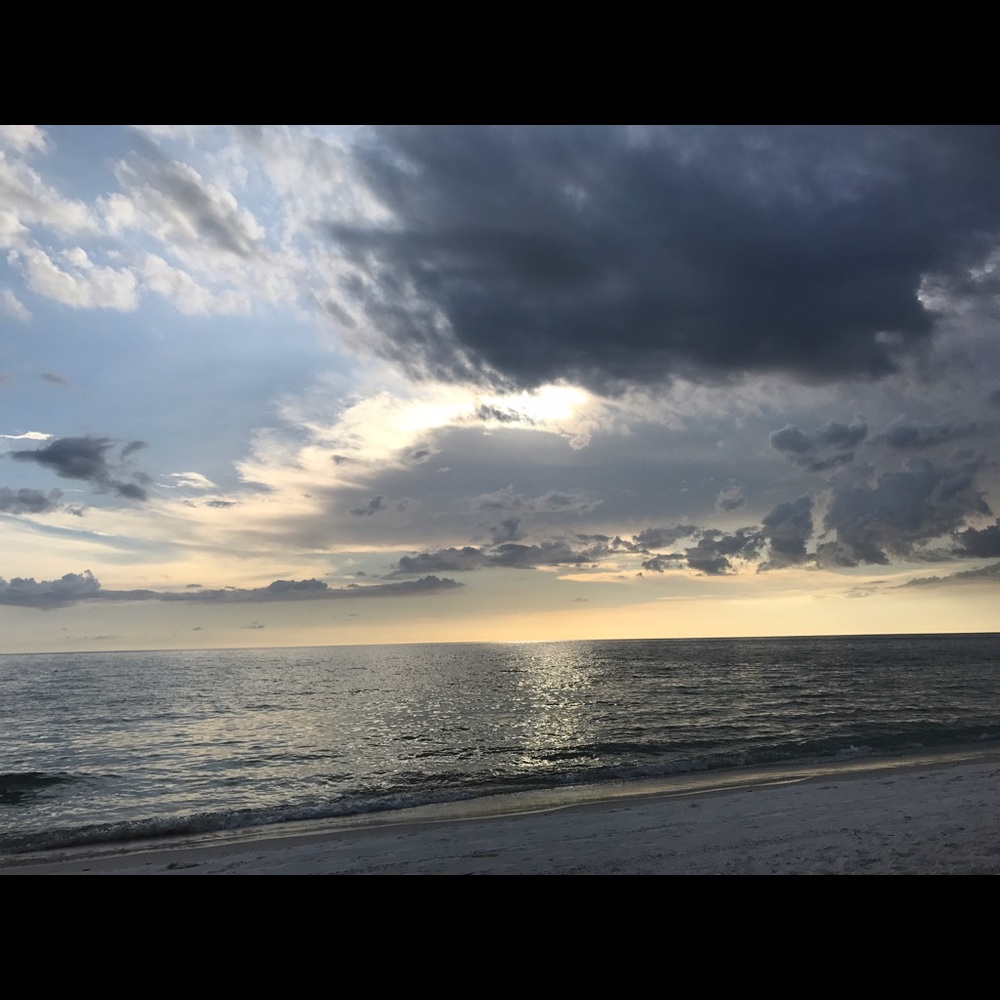 Meet your Posher, Elvira