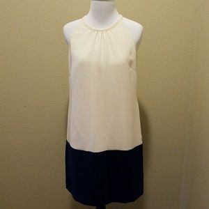 Banana Republic color block dress