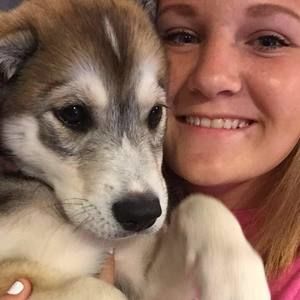 Meet your Posher, Sammy