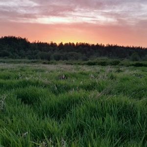 Meet your Posher, Lynne