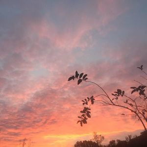 Meet your Posher, Valerie