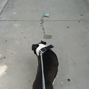 Meet your Posher, Kennith