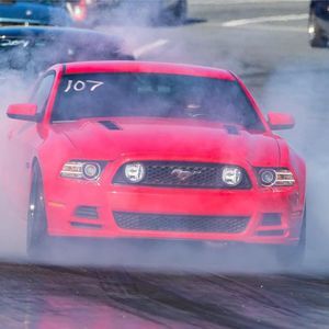 Meet your Posher, Curt