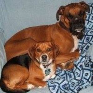 Meet your Posher, Beth