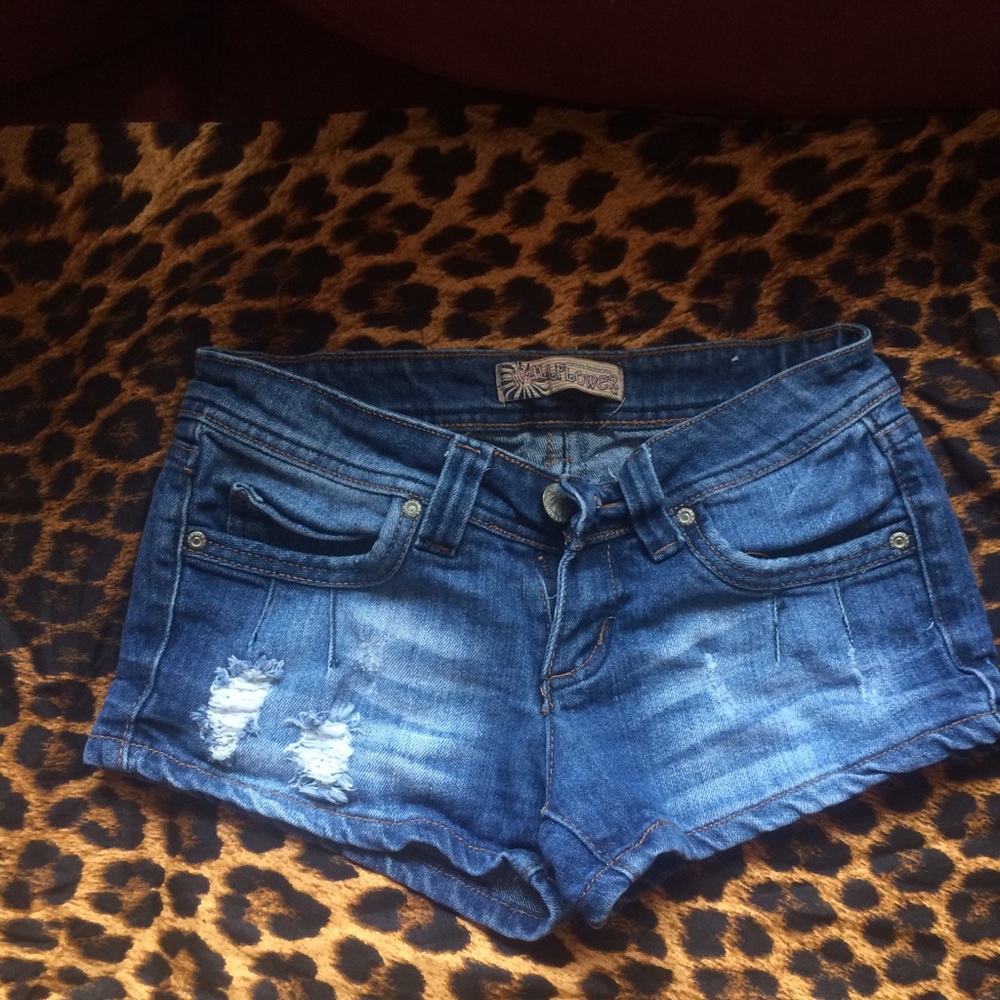 Wallflower blue distressed denim shorts