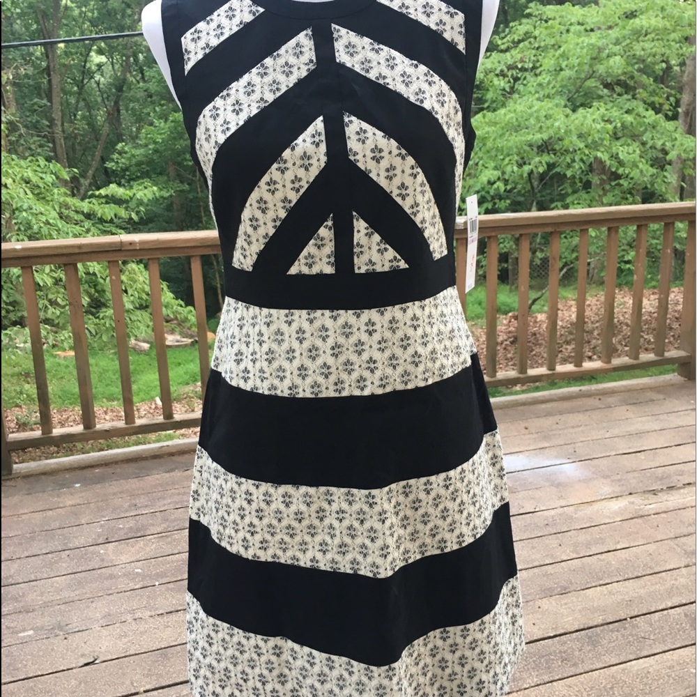 Women's career dress Iris and Ivy. Lace and black