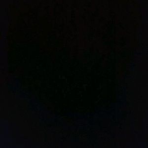 Meet your Posher, Jackson