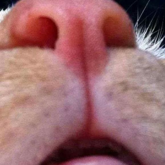 Meet your Posher, Wendy - Picture 1 of 1