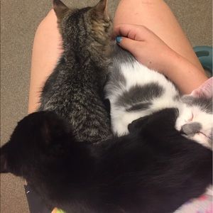 Meet your Posher, Savannah