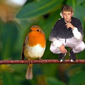 Meet your Posher, Liam