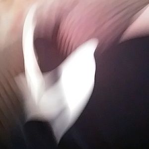 Meet your Posher, Hunter